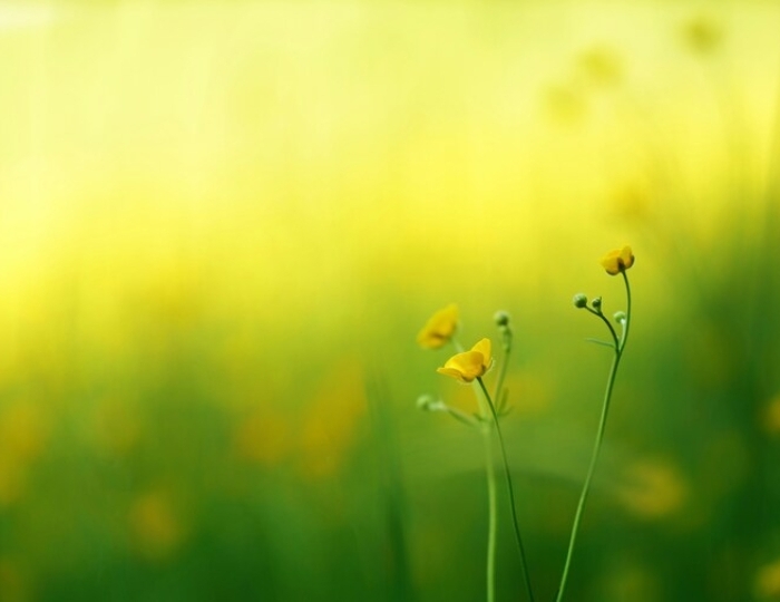 Гастроэнтерологическая программа - Санаторий «Надежда» Анапа