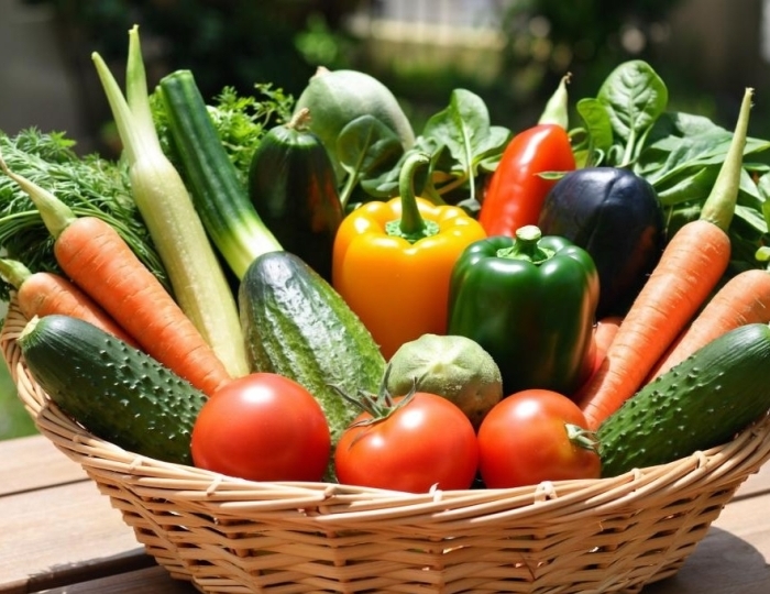 Детокс - Санаторий «Надежда» Анапа