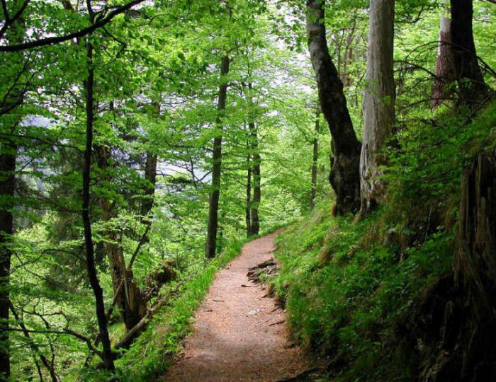 Терренкур и климатолечение - Санаторий «Надежда» Анапа